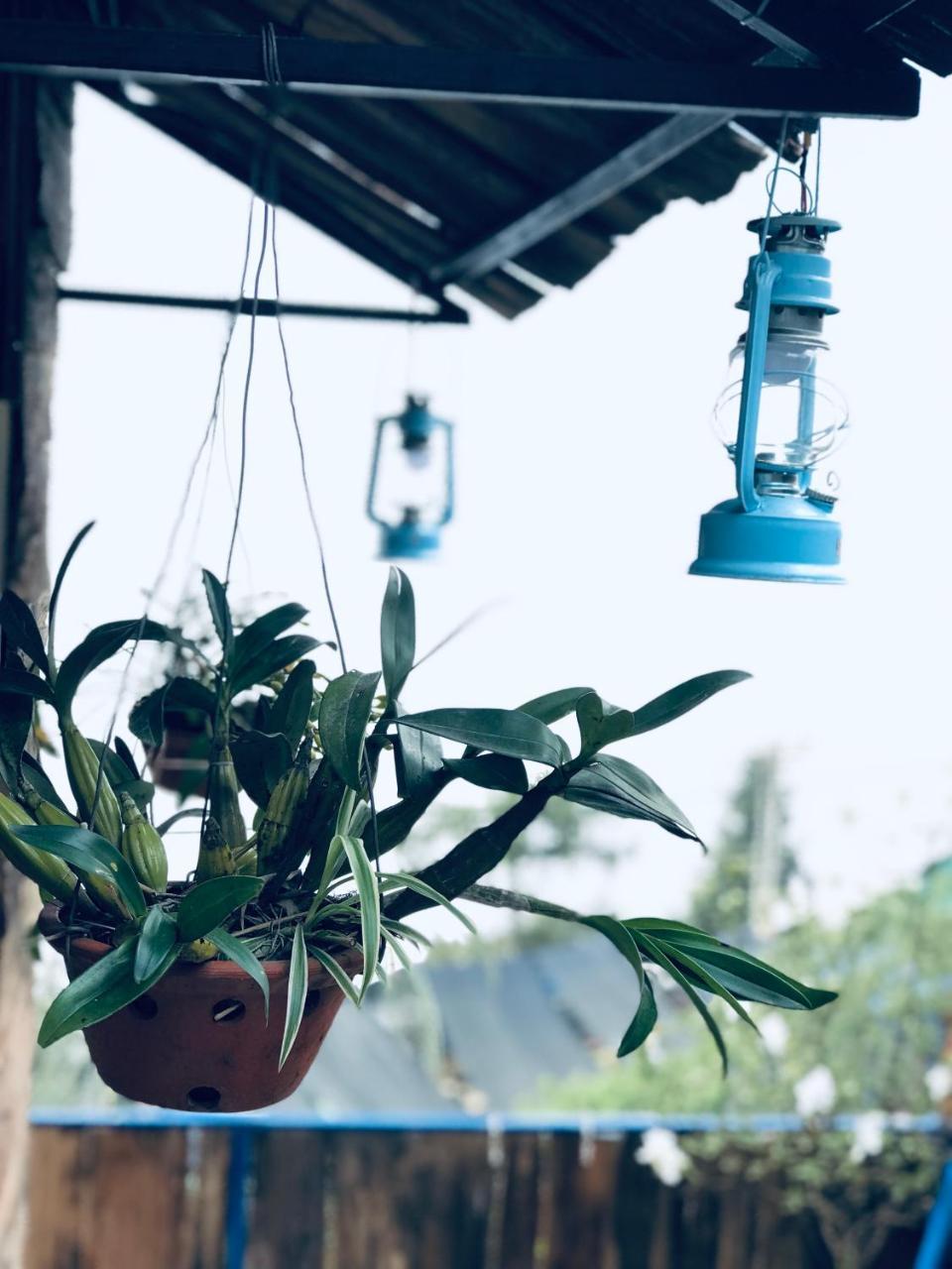 Fansipan Terrace Cafe And Homestay Sa Pa Kültér fotó